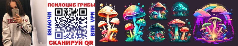 Псилоцибиновые грибы Magic Shrooms Пудож